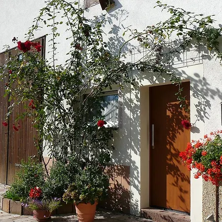 شقة Winzerhof Unter Der Yburg بادن بادن