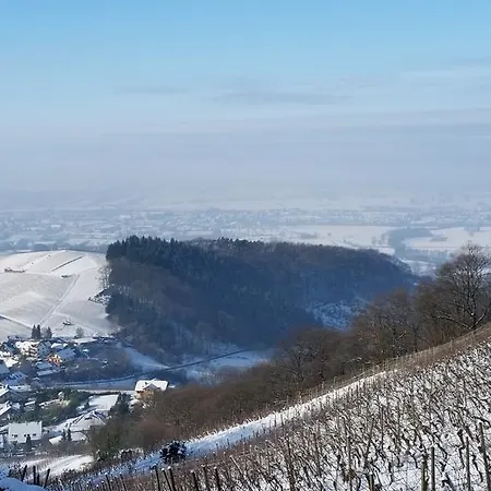 Apartment Winzerhof Unter Der Yburg Baden-Baden