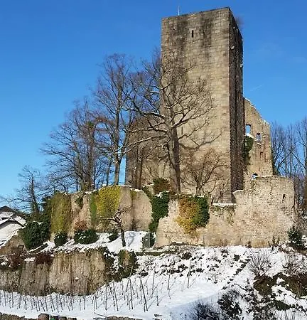 Winzerhof Unter Der Yburg * بادن بادن