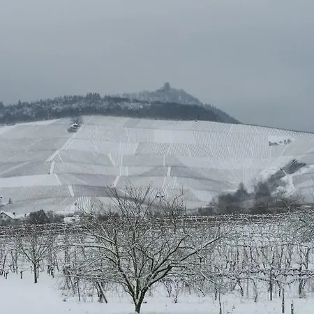 Winzerhof Unter Der Yburg شقة بادن بادن