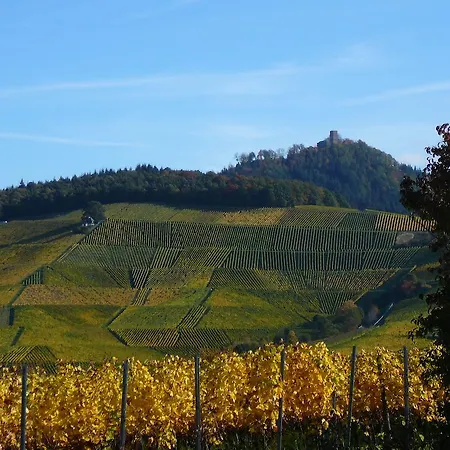 Winzerhof Unter Der Yburg * Baden-Baden