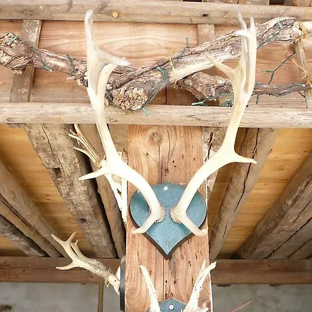 Winzerhof Unter Der Yburg شقة *