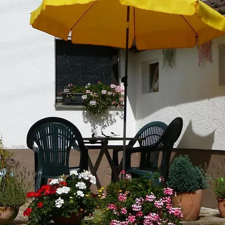 Winzerhof Unter Der Yburg شقة بادن بادن