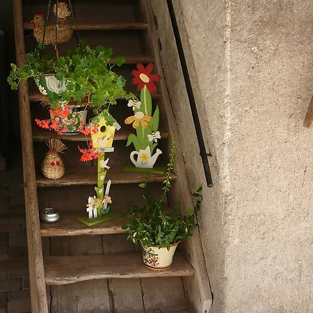 Winzerhof Unter Der Yburg بادن بادن