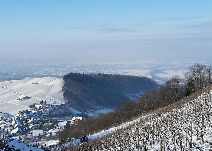 Lejlighed Winzerhof Unter Der Yburg Baden-Baden