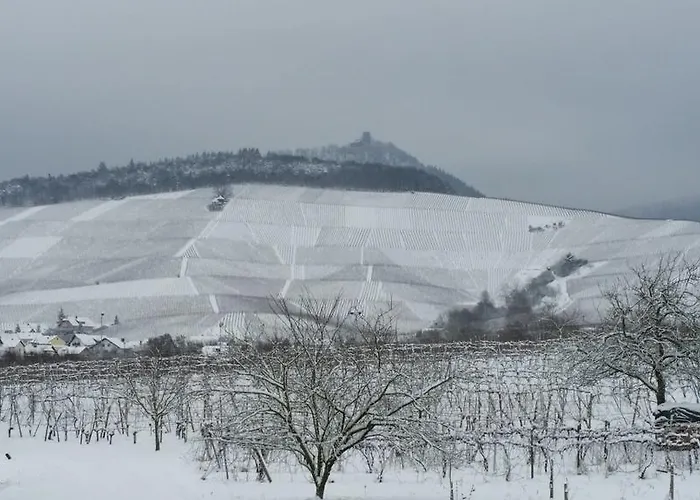 Winzerhof Unter Der Yburg Lejlighed Baden-Baden