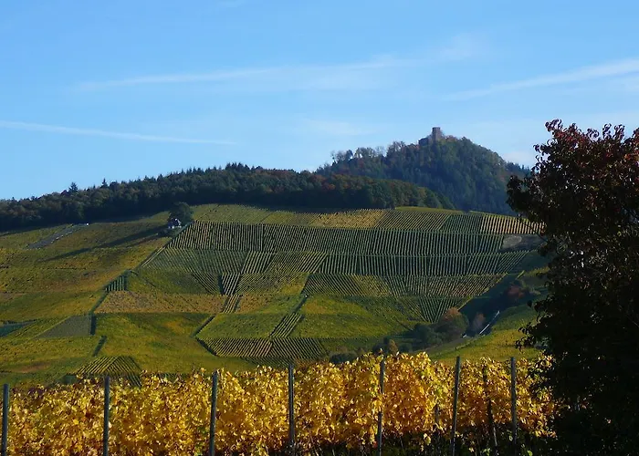 Winzerhof Unter Der Yburg * Baden-Baden